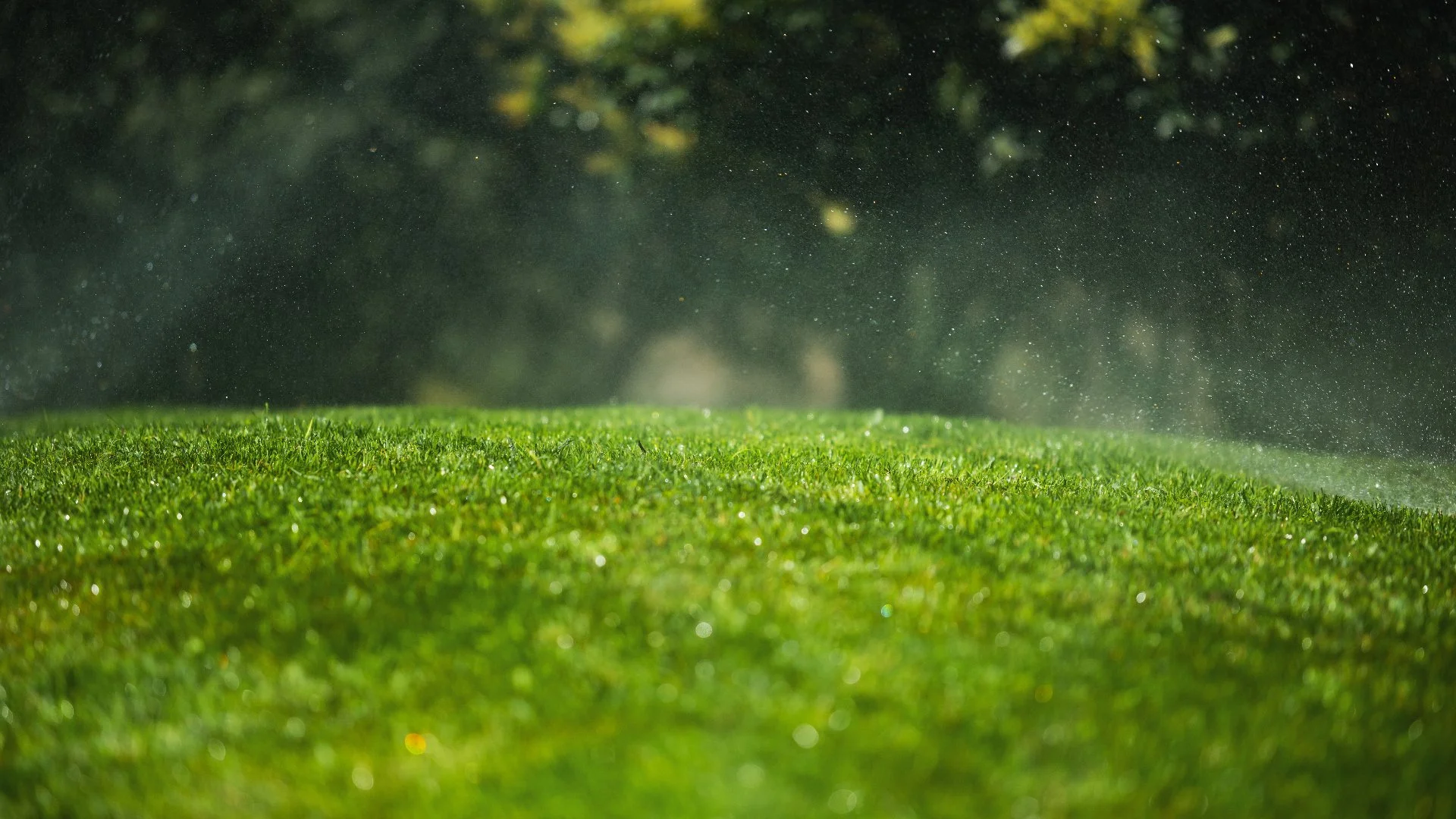 Liquid Aeration vs Core Aeration - Which Is Better for Your Lawn in the Spring?