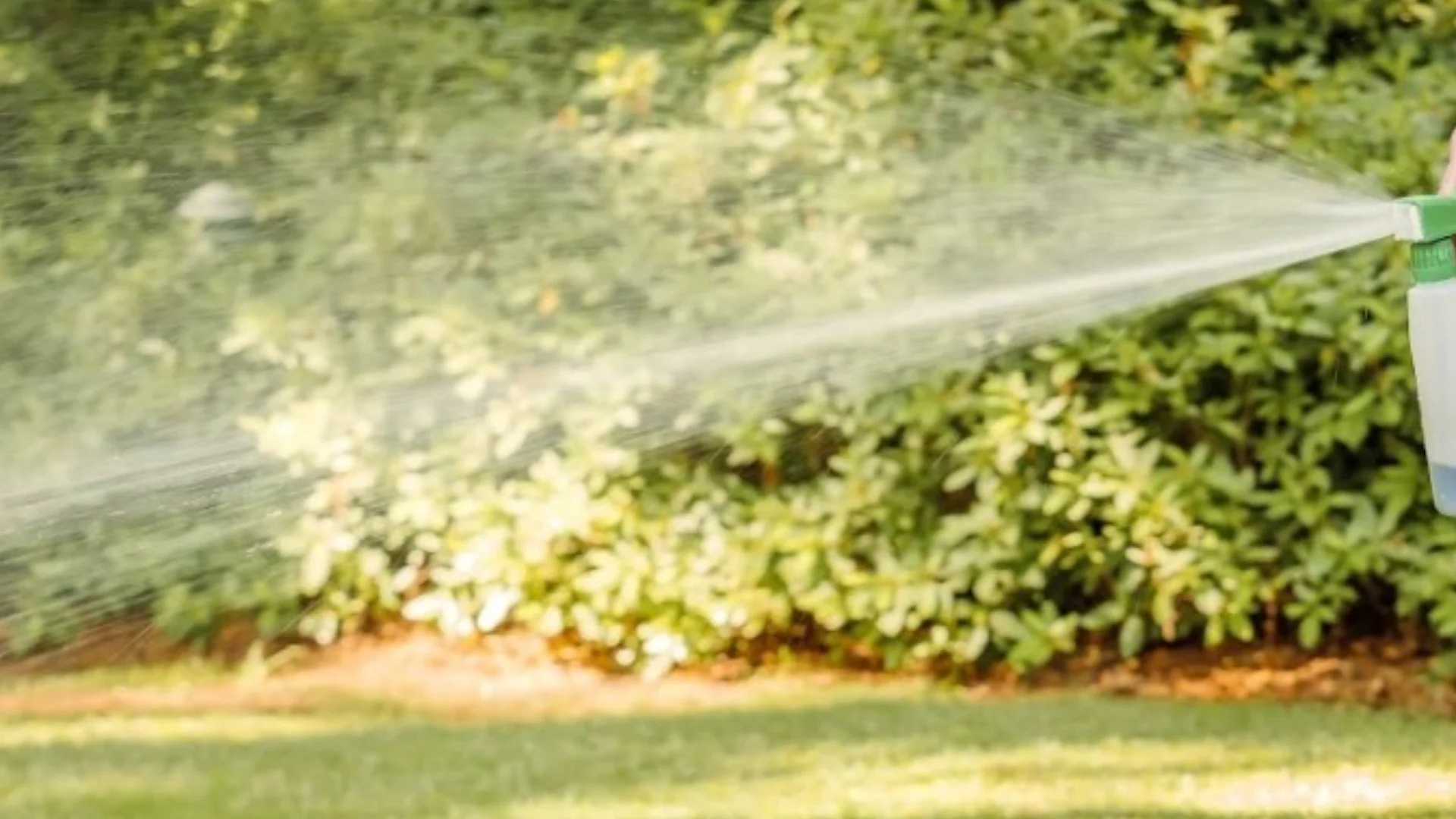 Should You Fertilize Your Lawn Before or After Spring Liquid Aeration?