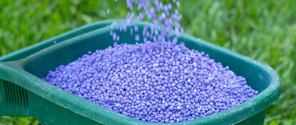 Blue granular fertilizer in Austin, TX, on a green container.