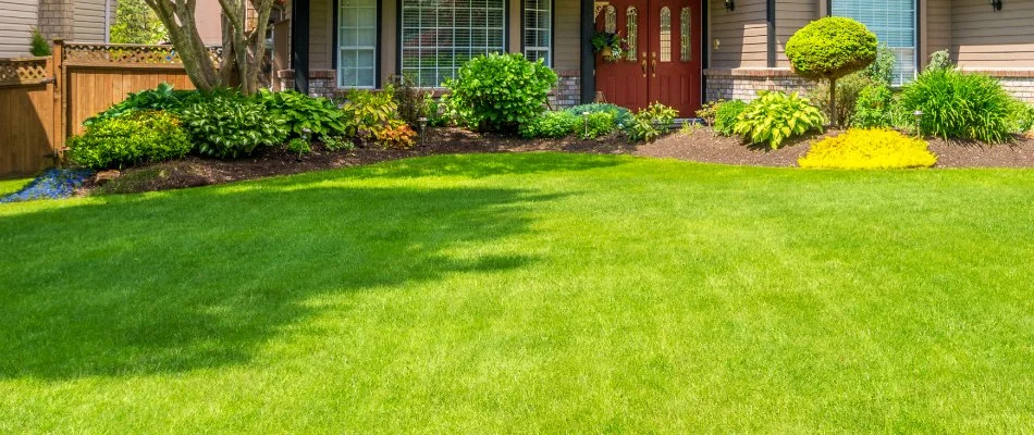 Fertilized green lawn in Crestview, TX, with nearby shrubs.