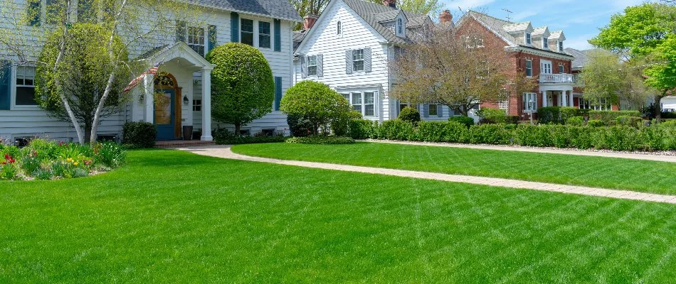 Green, healthy lawn on residential property in Mueller, TX.