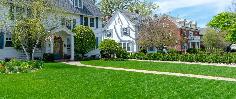 Healthy, green lawn in Austin, TX.